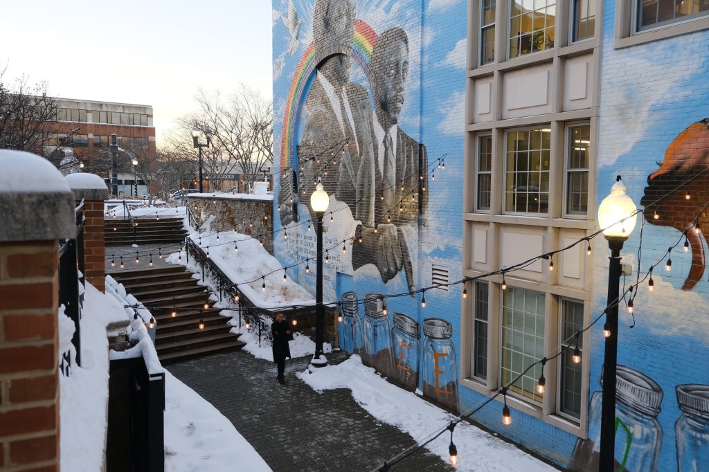 A Winter Stroll with Town Council Member Lisa Lazarus in West Hartford, CT